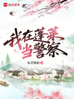 小说《我在蓬莱当警察》封面