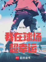 小说《我在球场等你英文翻译》封面