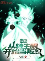 小说《火影:从转生眼开始当叛忍》封面