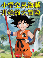 小悟空从海贼开始的大冒险小说封面