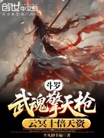 小说《斗罗武魂擎天枪云冥是什么神位》封面