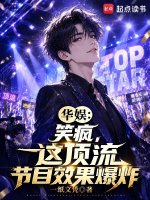 小说《搞笑华娱文》封面